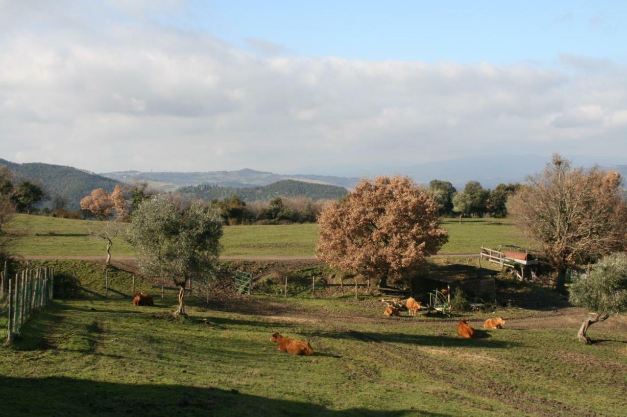Farmhouse Tuscany Montecastelli Pisano Exterior foto