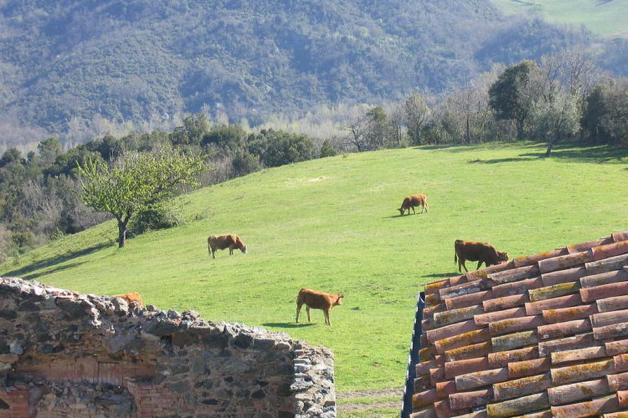 Farmhouse Tuscany Montecastelli Pisano Exterior foto